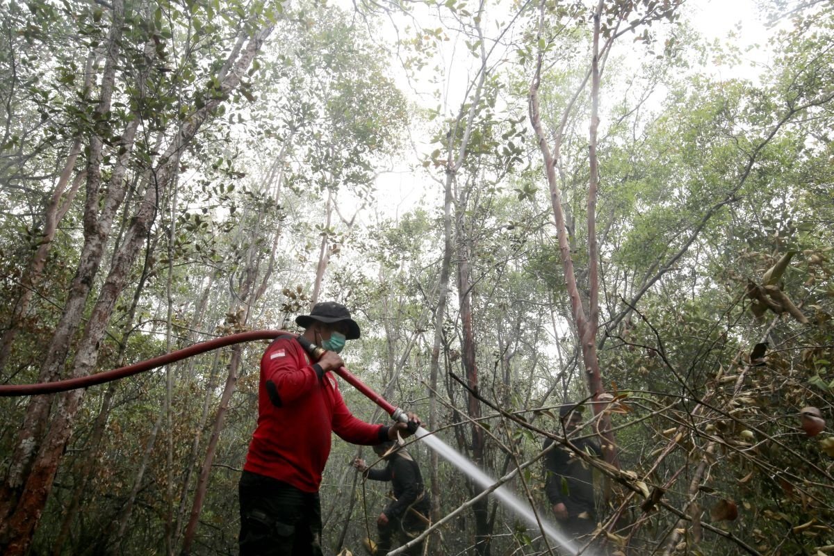 Tiga Jurus Andalan Kementerian Kehutanan Menjinakkan Api di Puncak Kemarau